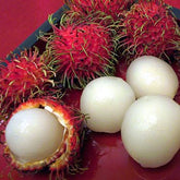 Melissa's Fresh Rambutans (2 lb)